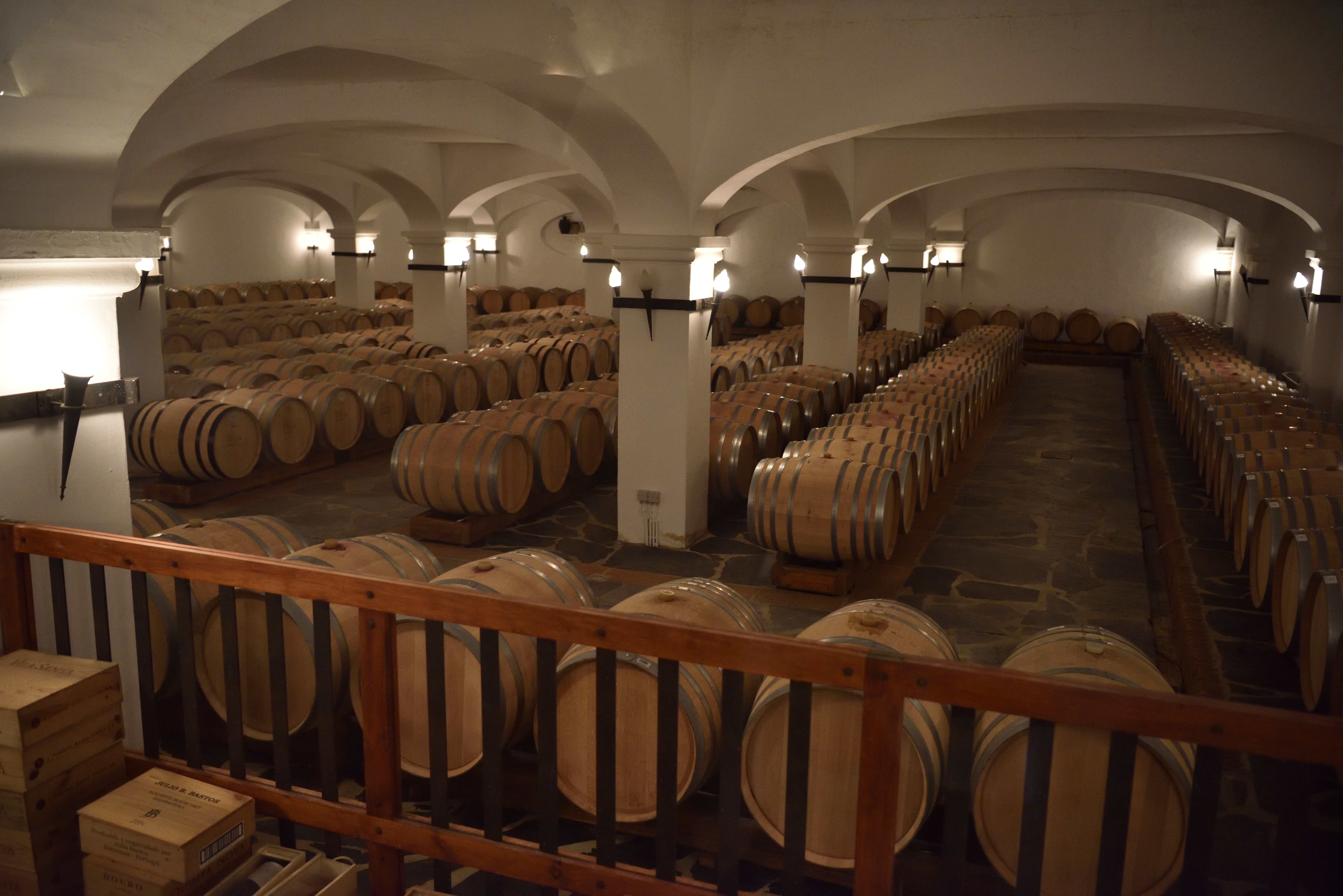 João Portugal Ramos